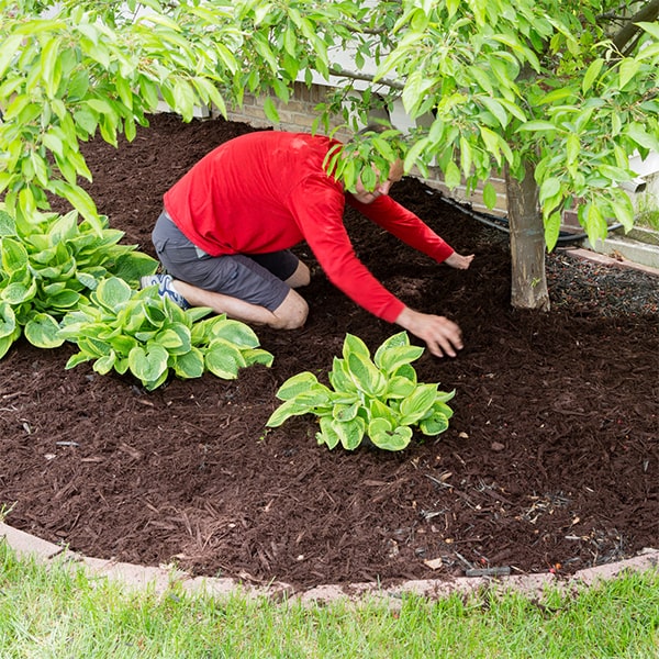 mulch installation we offer playground mulch made from shredded rubber or wood chips that meet safety standards for impact attenuation